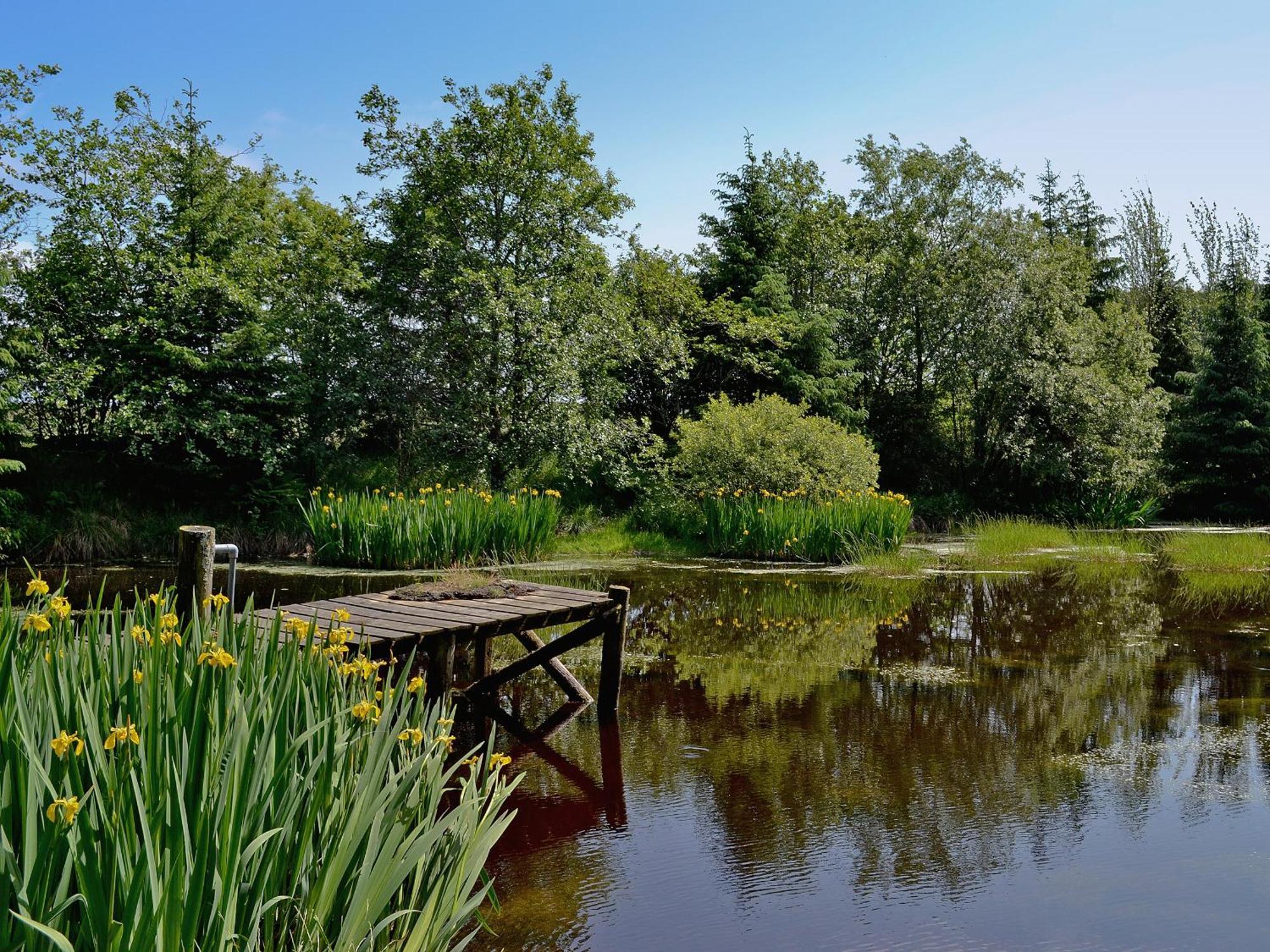 Swallow Lodge Carsphairn Экстерьер фото